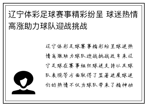 辽宁体彩足球赛事精彩纷呈 球迷热情高涨助力球队迎战挑战