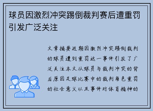 球员因激烈冲突踢倒裁判赛后遭重罚引发广泛关注