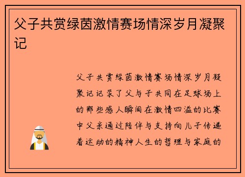 父子共赏绿茵激情赛场情深岁月凝聚记