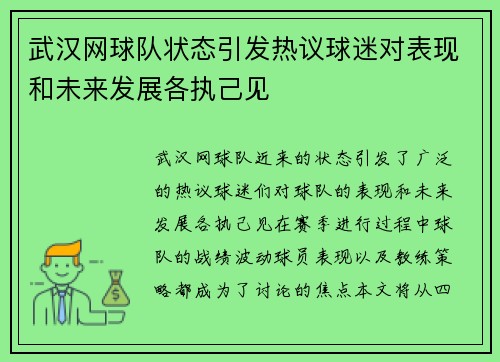 武汉网球队状态引发热议球迷对表现和未来发展各执己见
