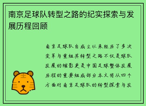 南京足球队转型之路的纪实探索与发展历程回顾