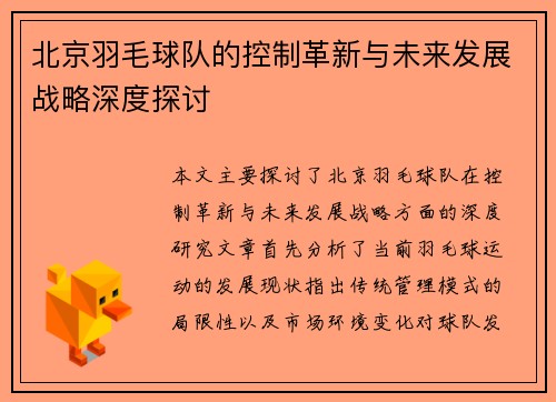 北京羽毛球队的控制革新与未来发展战略深度探讨