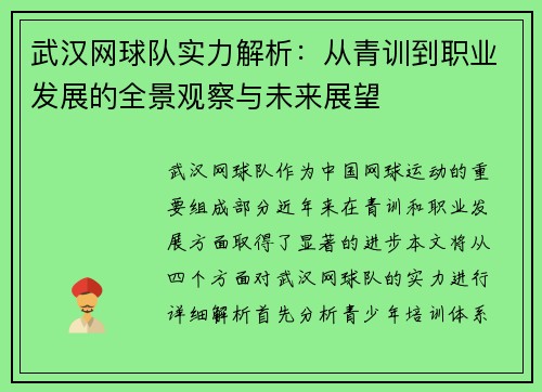 武汉网球队实力解析：从青训到职业发展的全景观察与未来展望